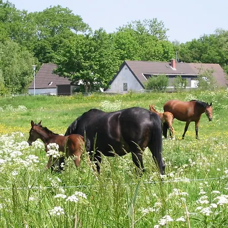 Fewo Haus Amrum * Dorumer Neufeld